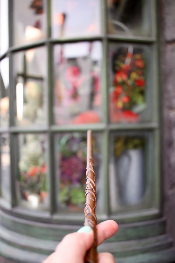 The Wizarding World of Harry Potter Hollywood Tips and Tricks
