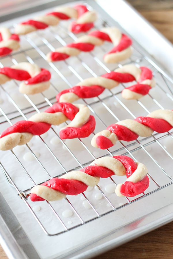 christmas-peppermint-candy-cane-cookies-6