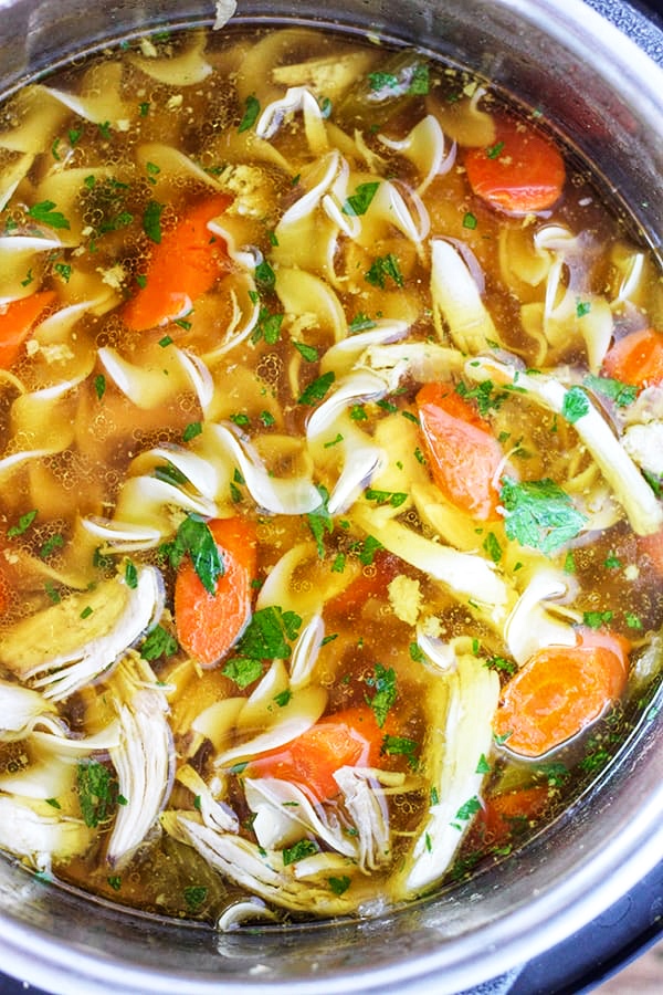 Chicken Noodle Soup Instant Pot