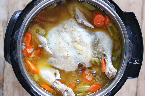 Instant Pot Chicken Soup