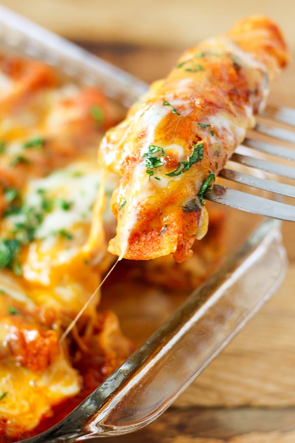 Instant Pot Pressure Cooker Chicken Enchiladas No 2 Pencil,How To Keep Cats Away From Yard