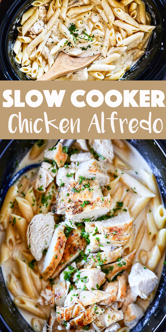 This Slow Cooker Chicken Alfredo is so easy to make. Tender juicy chicken breasts cooked right in a flavorful homemade alfredo sauce and the pasta cooks right in the slow cooker!