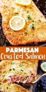 Parmesan Crusted Salmon Filet Recipe - No. 2 Pencil