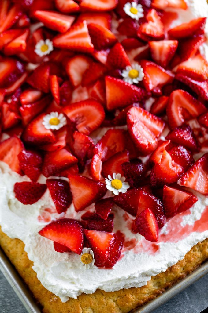 Sheet Pan Strawberry Shortcake Recipe - No. 2 Pencil