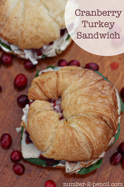 Gourmet Cranberry Turkey Sandwich, perfect for grown-up brown bag lunches. 